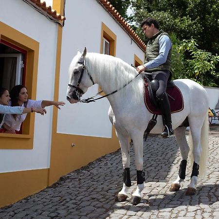 Quinta Do Malhinha- Turismo Villa Angra do Heroísmo Buitenkant foto