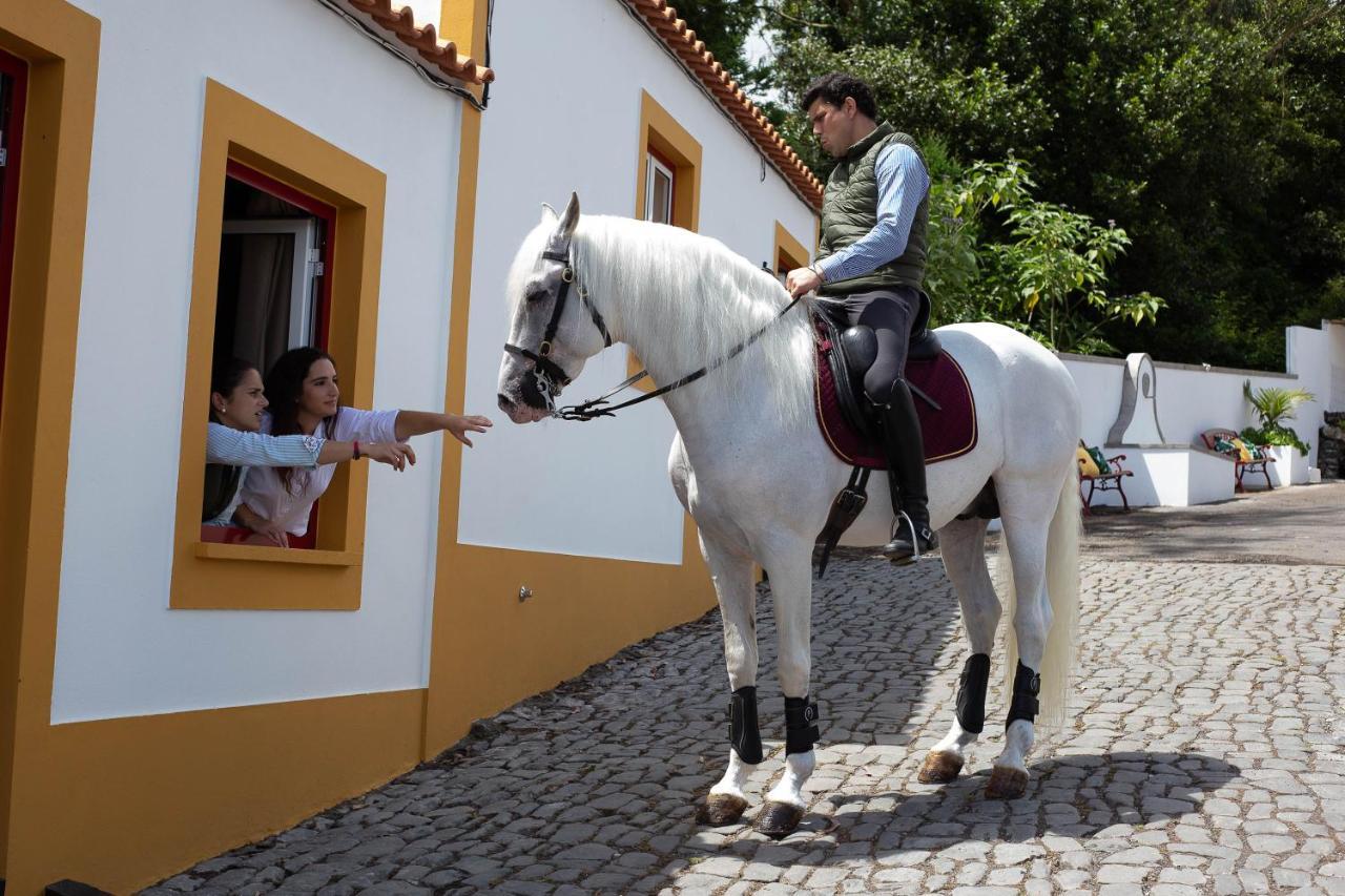Quinta Do Malhinha- Turismo Villa Angra do Heroísmo Buitenkant foto